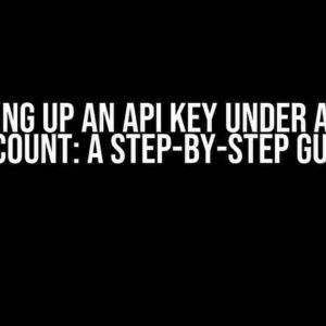 Setting up an API Key under a Paid Account: A Step-by-Step Guide